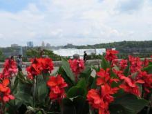 Green park area along the Niagara River
