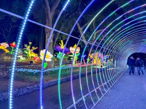 Imaginarium 4