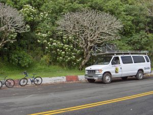 Oahu downhill bike adventure
