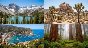 California Climates Collage